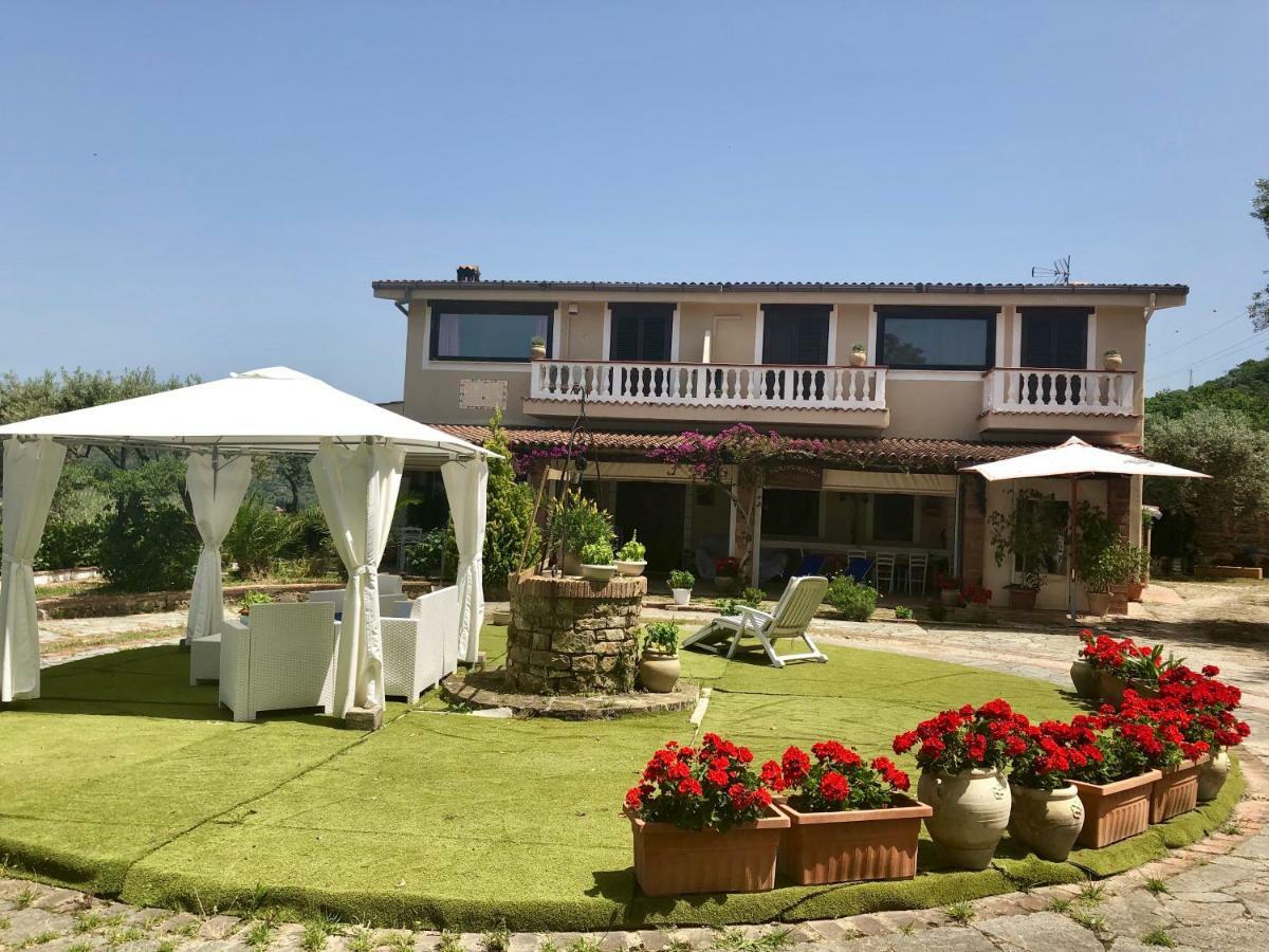 Dolce Basilico Bed & Breakfast Agropoli Eksteriør bilde